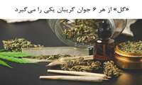 «گُل» از هر ۶ جوان گریبان یکی را می‌گیرد